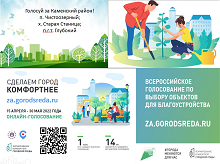 Голосование благоустройства