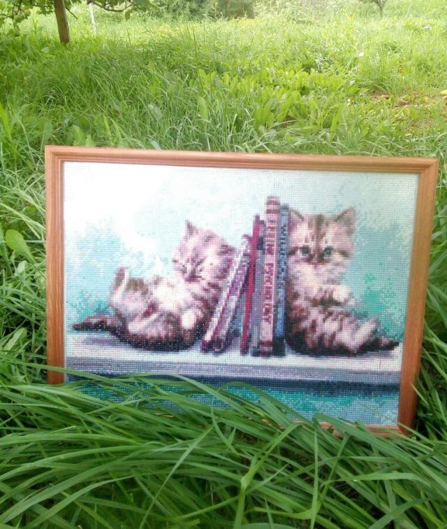 imagebbgh