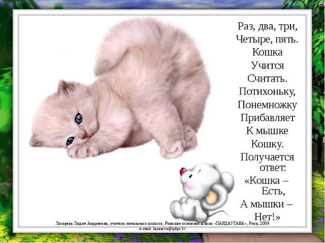 imagennnn4